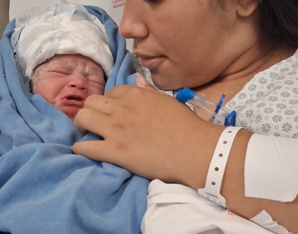 A vida renasce na Maternidade Célia Câmara